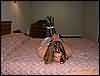 DSCF0007.jpg